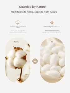 Mercury Kids 100 Silk Duvet Insert Low Sensitivity Duvet Insert Baby Quilt Class a Zadt Mulberry Silk Baby Winter Quilt