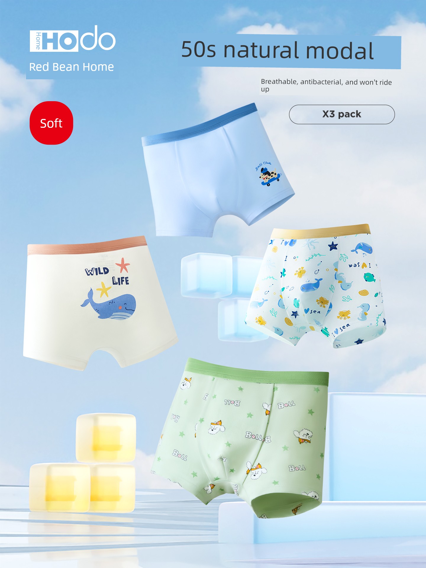 Hodohome Cotton Antibacterial Teenagers Boys' Underwear