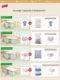 Taili vacuum storage bag compression storage box quilt clothing special clothing Oxford cloth seasonal quilt finishing box