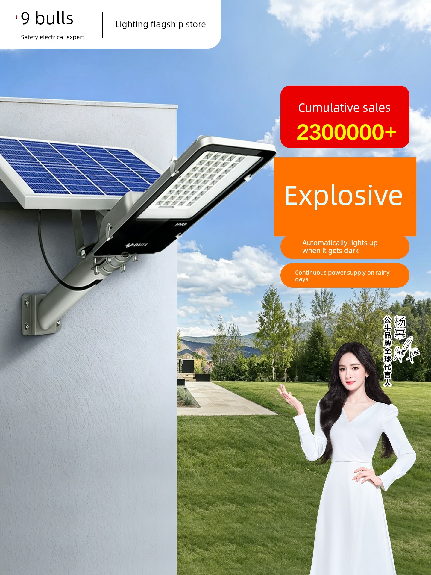 Bull Solar For Home Waterproof Sensor Outdoor Lamp