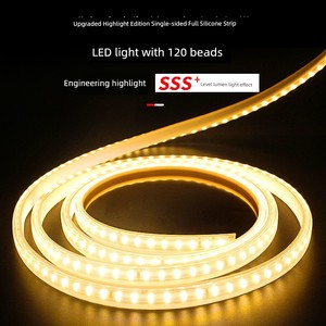 LED Light Strip Waterproof Outdoor Colorful Color Changing Living Room Home Light Bar Line Light Super Bright 220V Soft 