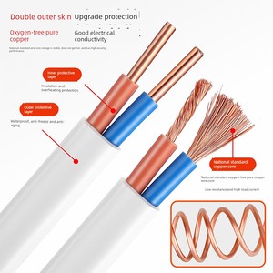 National Standard Pure Copper Core Home Decoration 2-Core 0.75/1/1.5/2.5/4/6 Square Soft Power Cord Bvvb Hard Protection