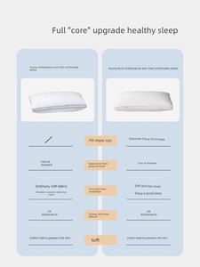 Mercury Home Textile Pure Cotton Antibacterial Anti-Mite Single Pillow