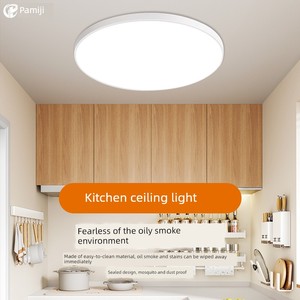 Kitchen Ceiling Light, Oil-Proof, Insect-Proof, Three-Proof Light, Simple and Modern, Bathroom, Balcony Lighting Fixture
