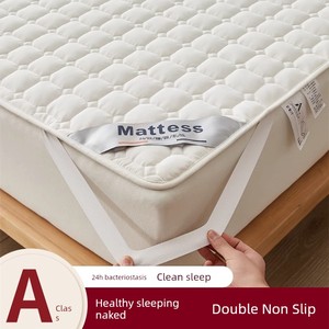Soybean Class a Cover Home Dormitory Thin Mattress