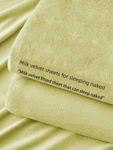 2025 New Thickened Milk Velvet Bed Sheet Single Piece Dormitory Single/Double Flannel Coral Fleece Winter Quilt Plush Bl