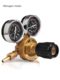 Nitrogen gauge pressure reducing valve pressure reducing gauge pure copper nitrogen gauge nitrogen cylinder nitrogen pressure reducing device YQD-06 YQD-370