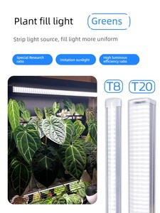 Guixiang Color Led Dedicated Plant Grow Light