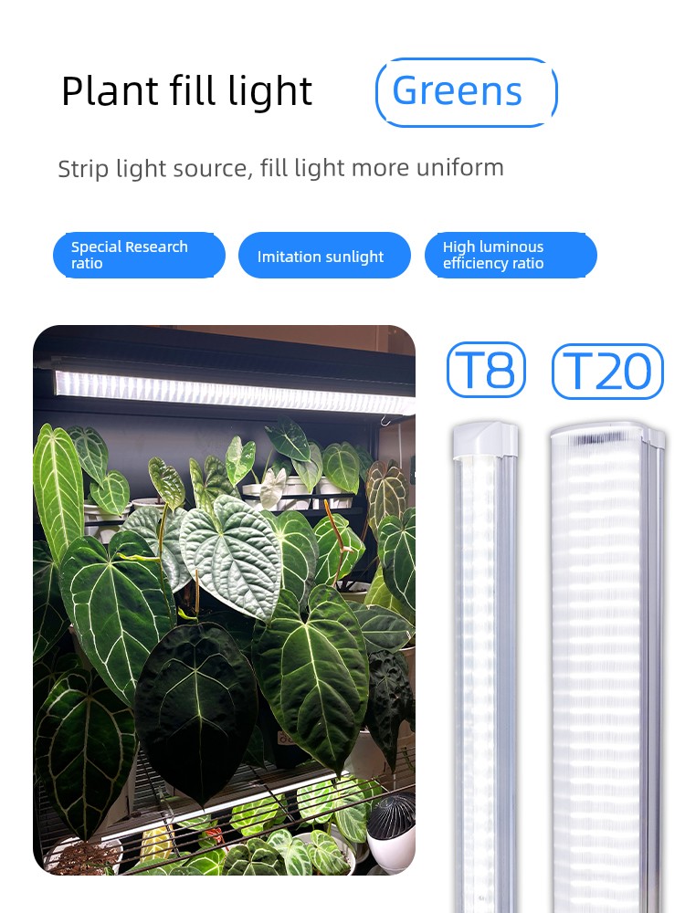 Guixiang Color Led Dedicated Plant Grow Light