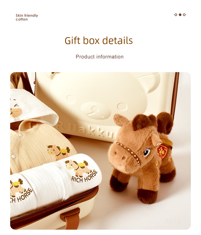 Newborn and One Month Old Baby High-End Baby Gift Package — 18