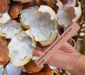 Crab Shells, Green Crab Shells, and Crab Shells Can Be Used to Make Crab Rice Dishes, Paired with Green Crab Fillets, an