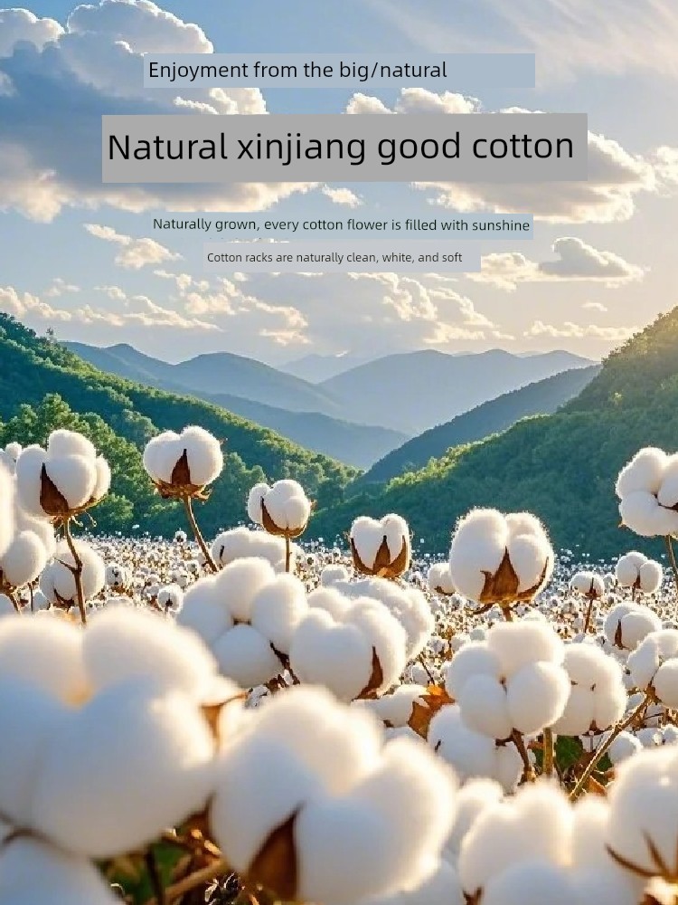 Pure Cotton Duvet Cover Single Piece 100% Cotton Flagship 2026 New Model 1.5m Winter Single Individual Quilt Cover 200X230Cm