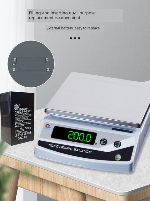 Shanghai Puchun Electronic Balance Scale 0.1g Precision Jewelry Kitchen Scale Precision 0.001g Commercial High Precision G-Scale