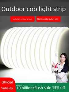 Led Light Strip Super Bright 220V Outdoor Waterproof Living Room Atmosphere Self-Adhesive Linear Light Ceiling Project C