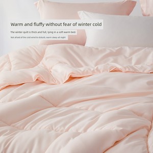 Mercury Home Textile Dormitory Winter Students Warm-Keeping Quilt