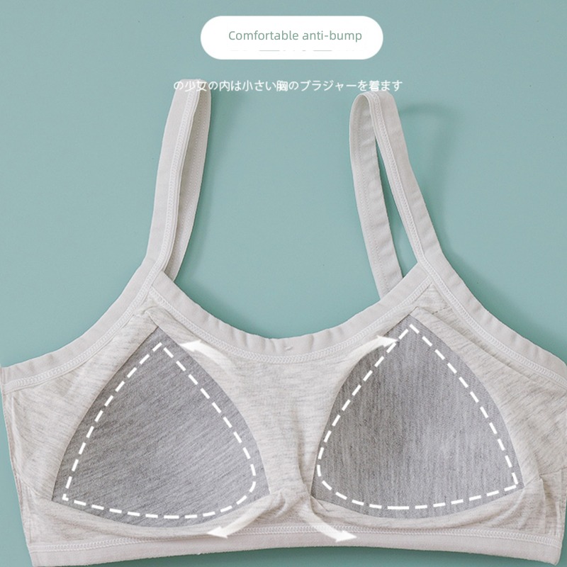 girl Wireless  Developmental stage junior high school student Underwear