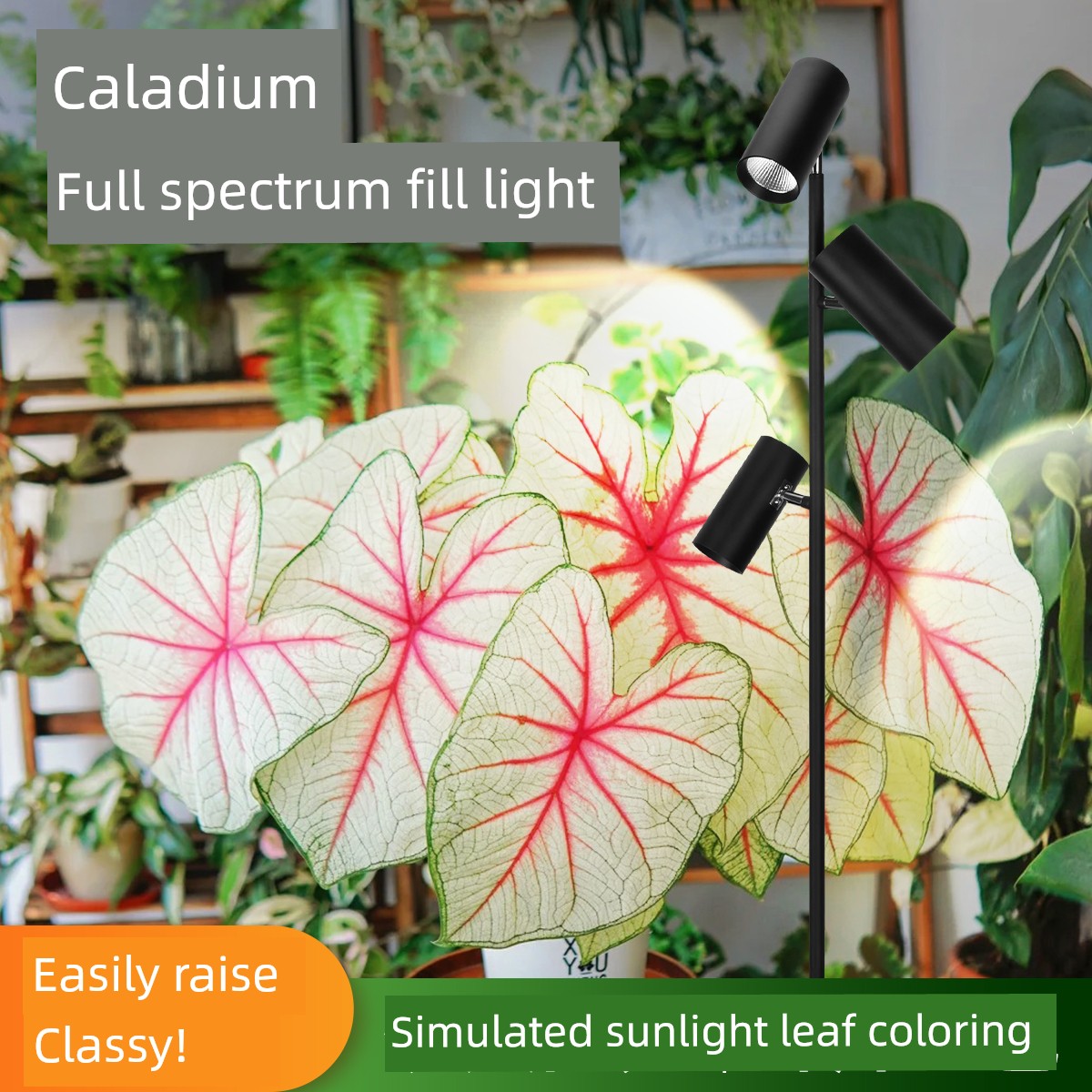Plant Grow Light for Colorful Leaf Plants, Full-Spectrum Sunlight Imitation, Suitable for Indoor Succulents, Home Gardening, and Green Plants