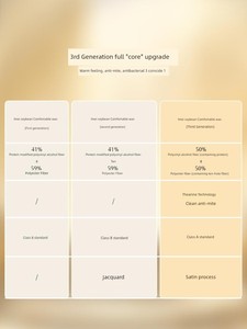 Mercury Home Textile Cotton Thickened Two-in-One Quilt