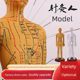 Super clear meridians and men's body model Human body meridian model Traditional Chinese medicine bronze acupuncture acupoint model