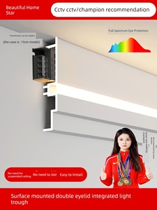 Surface-Mounted Double Eyelid Integrated Linear Light for Living Room, No Ceiling Required, Linear Light Trough, Aluminu