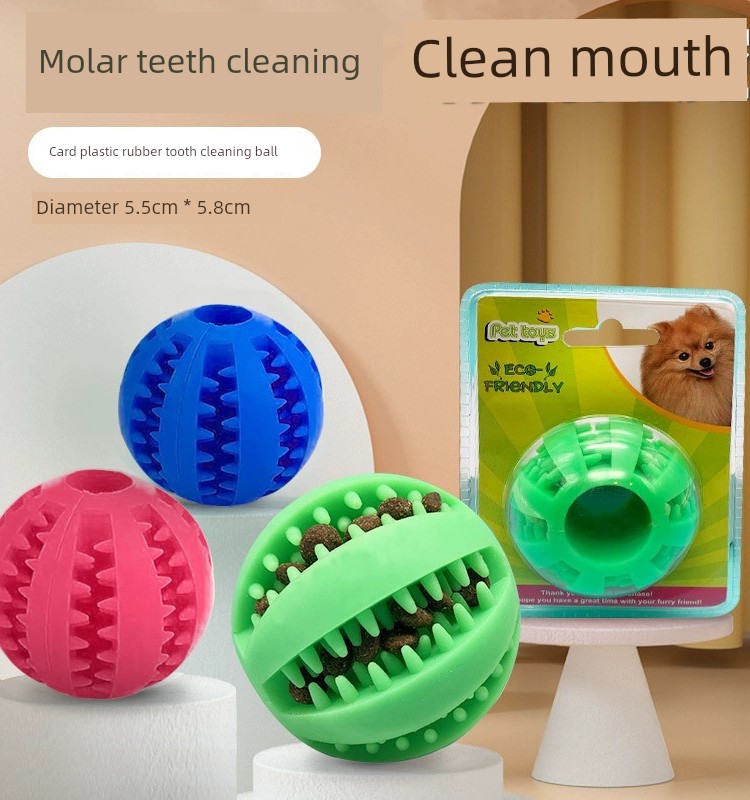 寵物橡膠潔齒球磨牙訓練漏食球塑殼裝耐咬
