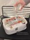 Cute hand-held makeup bag for women 2024 new portable large-capacity skin care products transparent travel toiletries storage bag