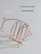 Can hold X Grape 100-minute XL Powder Beauty Egg Rack Holder Multi-layer Air Cushion Powder Storage Drying Placement Rack