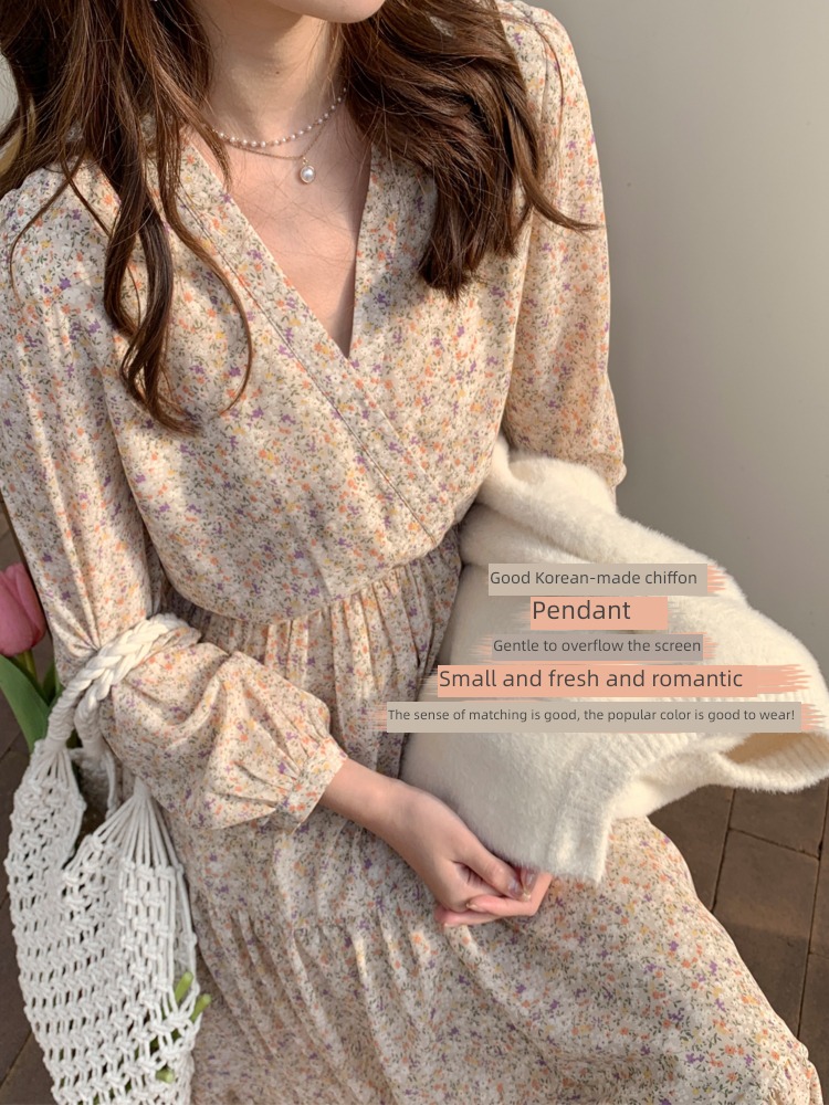 tender spring and autumn V-neck Chiffon have more cash than can be accounted for Broken flower Dress
