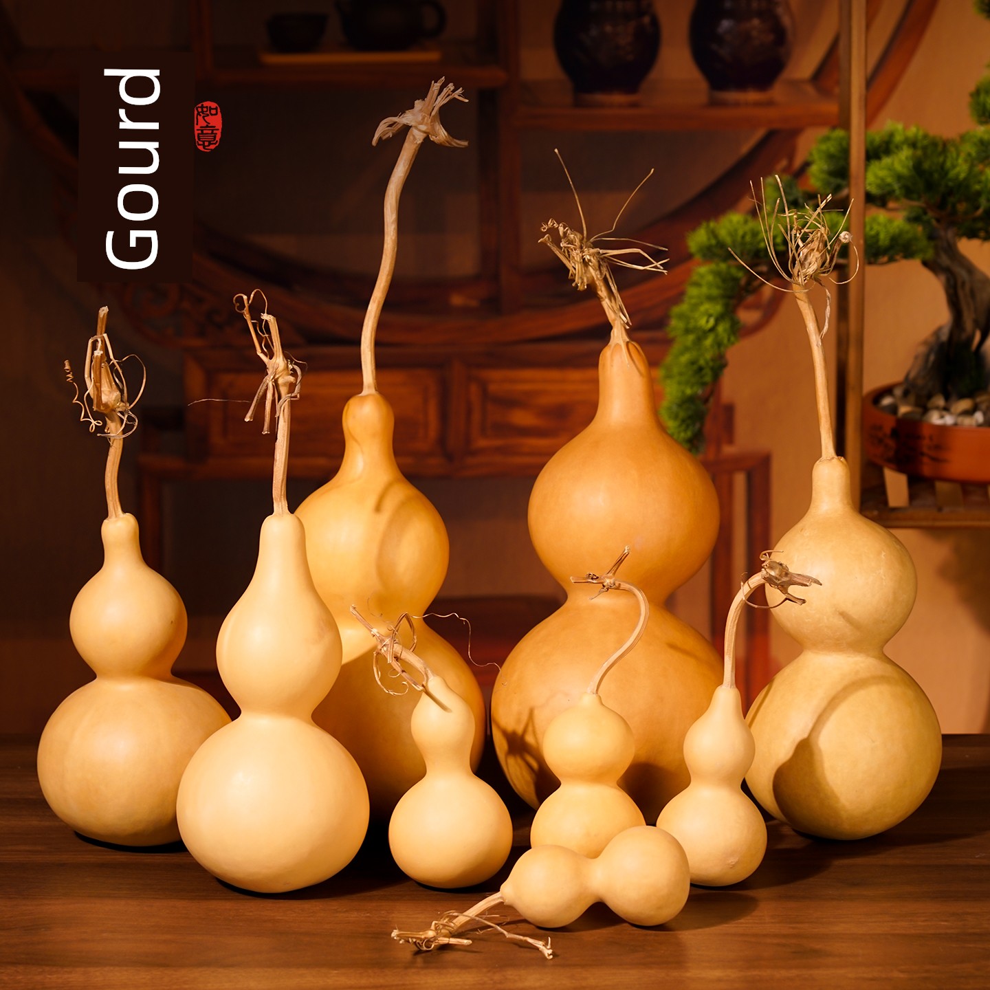 Natural Gourd Ornaments, Real Gourds with Dragon Heads for Entryways, Living Rooms, Bedrooms, Study Rooms, and Door-To-Door Decorations; Wholesale Collectible Gourds