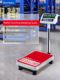 Baillens Industrial Electronic Counting Scale Weight Scale Electronic Platform Scale 100kg 50kg Floor Scale Floor Scale 2025