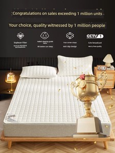 Cushion Double Home Thin Anti-Slip Student Mattress