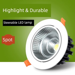 Led Cob 15W 30W Ceiling without Main Spotlight