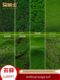 DIY Making simulated moss lawn turf sand tray building model material grassland scene micro landscape decoration