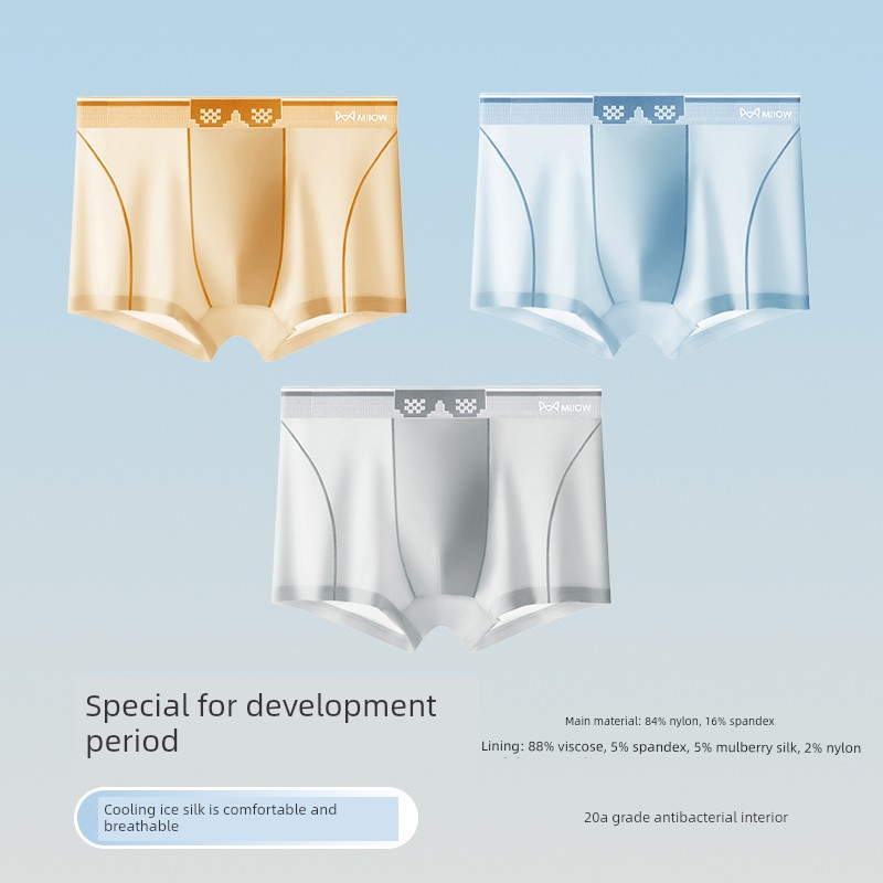 MiiOW Kids Youth Ice Silk Summer Children's Underwear — 6
