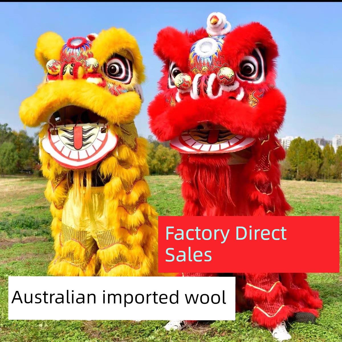 Lion Dance Props, Wool Lion Head, Southern Lion, Foshan Lion Dance Head, Foam Lion Head, Adult Double or Single Lion Dance Set