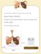 Q version uncle original cat cartoon silicone coin wallet pendant cute children's Bluetooth headset coin storage bag