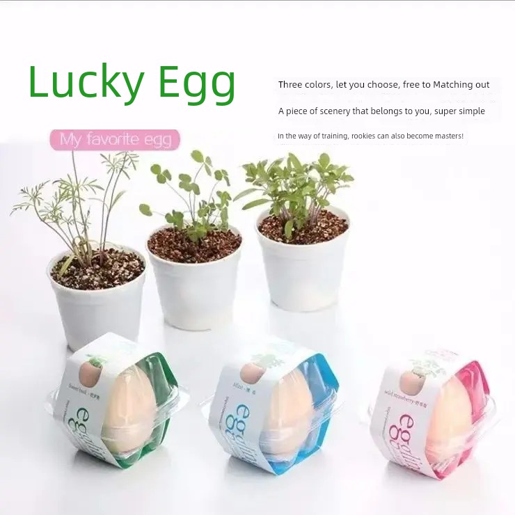 World Environment Day Small Gift: Simulated Egg Children's Plant Growing Observation Potted Plant Blind Box Toy Gift Reward