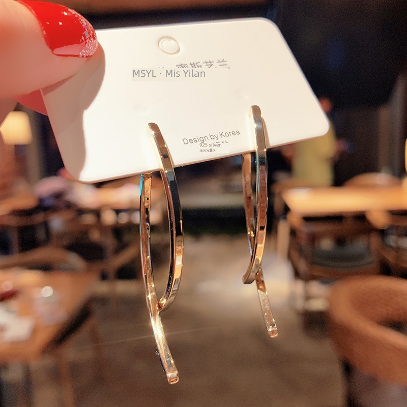 Cold wind Internet celebrity female personality Metal Sterling Silver needle Earrings