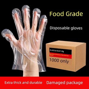 Plastic Transparent Barbecue Baking Takeaway Disposable Gloves