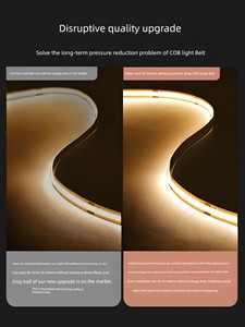 Cob Embedded Double Eyelid Ceiling Aluminum Alloy Linear Lamp