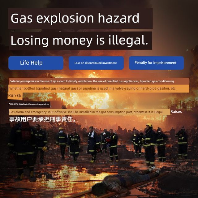 Combustible gas detection alarm Catering Industry and Commercial Hotel Inspection Natural Gas Commercial Gas Detector