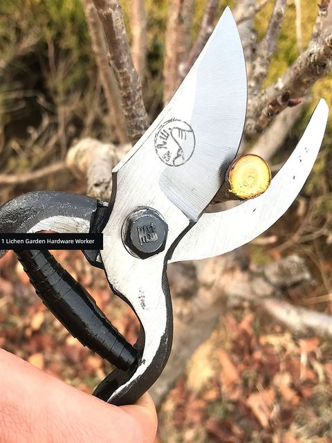 Wanger Mountain pruning and shearing fruit tree scissors gardening and shearing imported labor-saving scissors special for cutting branches
