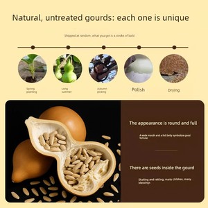 Premium Small Natural Gourd for Hand Play, Collection, Real Mini Wild Gourd with Dragon Head, Handheld Toy, Hanging Orna