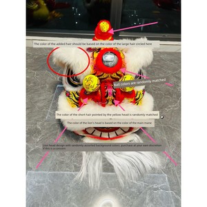 Manufacturer Adult Dragon and Lion Dance Lion Foshan Foam Lion Dance South Lion Lion Head Full Set Double Single GB