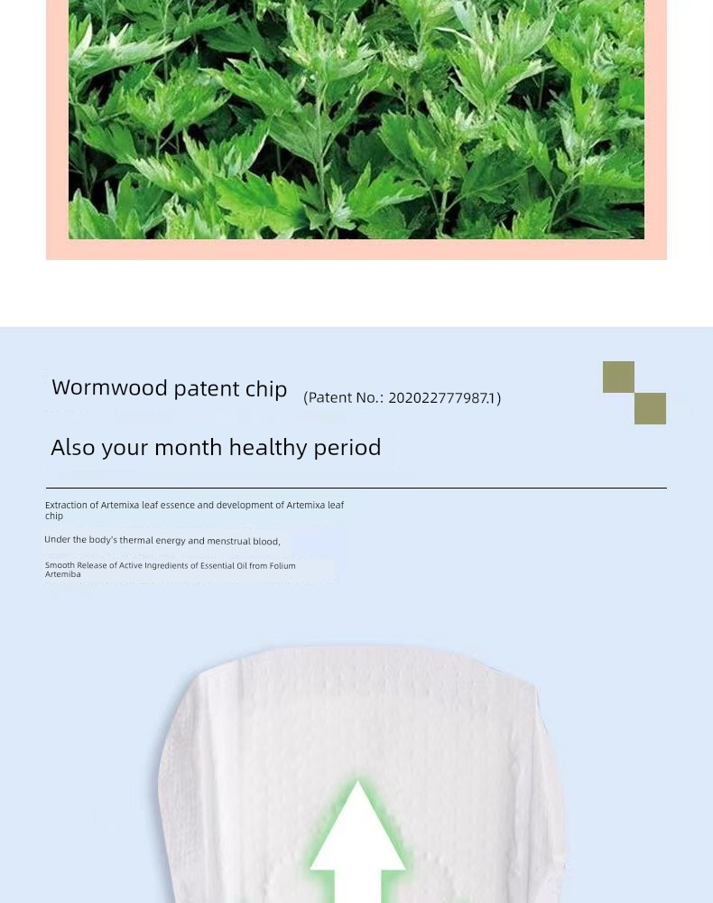 Genuine Goods DRAWSHE Argy Wormwood Chip Sanitary Napkin Package for Daily Use and Night Use Protection Mat Ultra-Thin Breathable Cotton Soft — 6