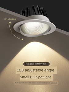 Adjustable Angle Cob 10cm Spotlight