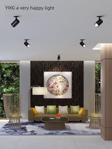 Led Adjustable Angle Living Room and Shop Advertising Ceiling