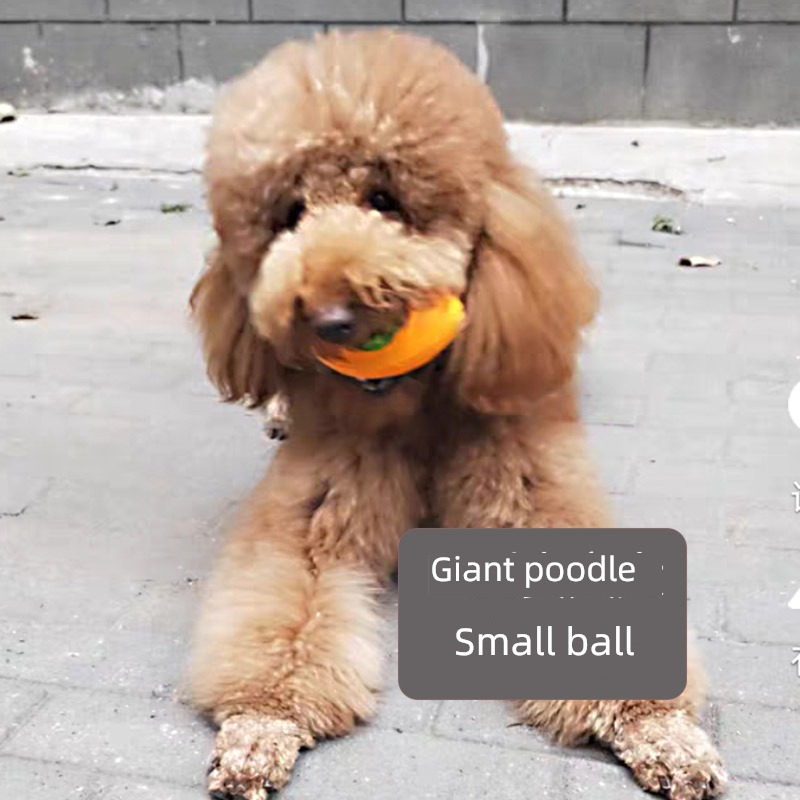 Sounding ball bone Kirky Labrador Big dog