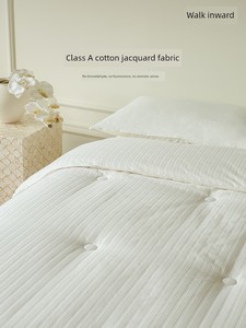 100% Xinjiang Cotton Quilt Core for All Seasons, Thickened and Warm, Double-Layered Winter Quilt, All-Cotton