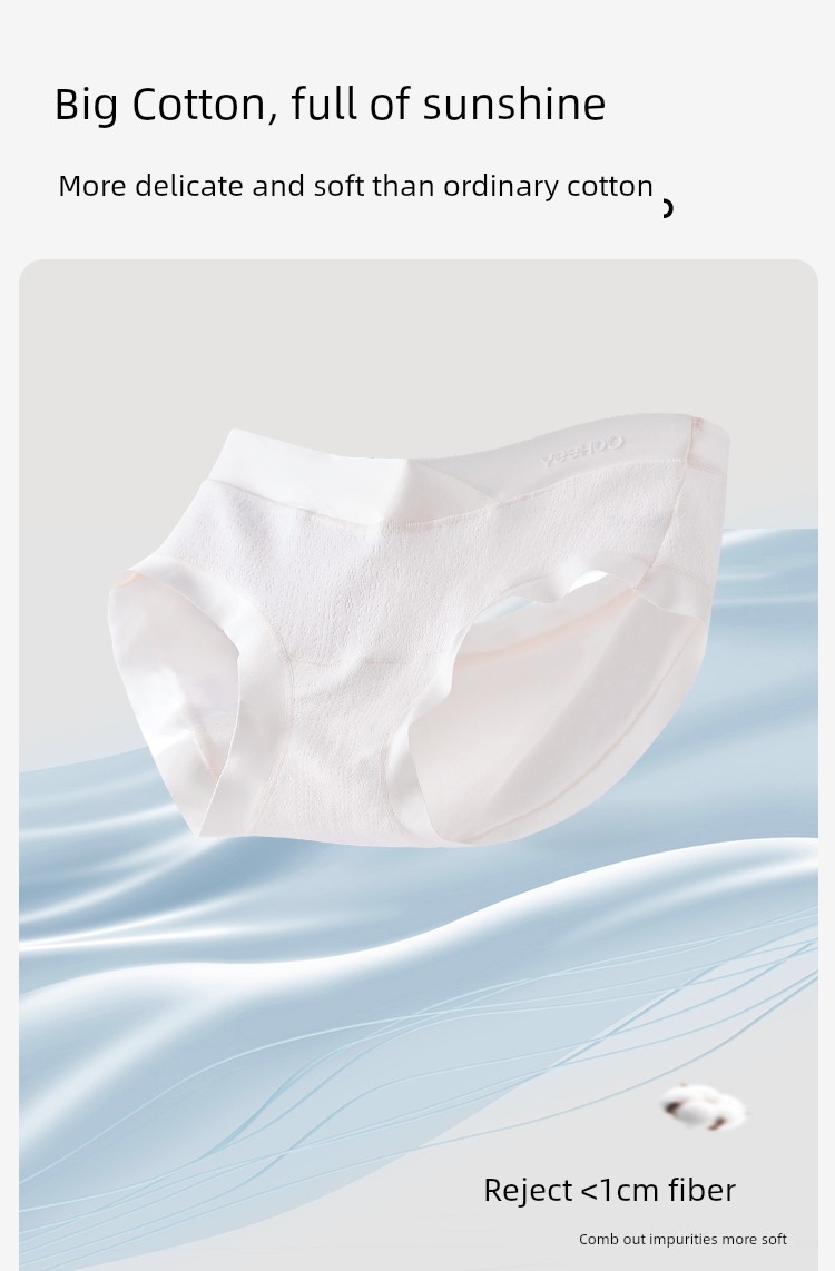 Ying's Maternity Underwear, Autumn Style, Antibacterial Cotton, Suitable for Early, Mid, and Late Pregnancy, Seamless Low-Waist V-Shaped Belly Support — 7
